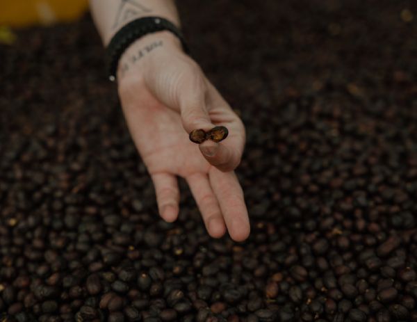 Finca Dutra title=