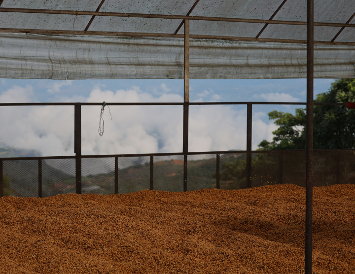 Finca Dutra title=
