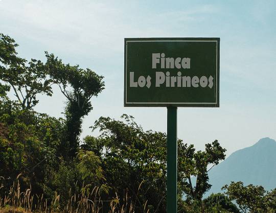 Finca Amazonas title=